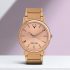 Fastrack NK3130NL01 Analog Watch  – For Men