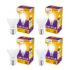 Eveready 9W B22D Emergency Inverter Led Bulb| Cool Day Light (6500K) | Energy Efficient| Ibms Technology | 4 Hour Battery Backup | Li-On Battery Inside