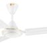 Polycab Euphoria Ep02 1200 Mm 3 Blade Ceiling Fan(Nuetral Resort Brown, Pack Of 1)